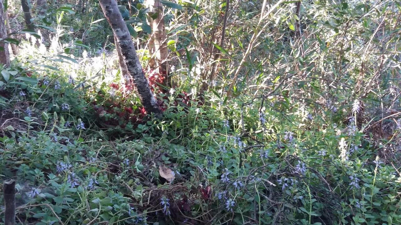 Morada Dos Elfos Villa Vale do Capao Kültér fotó